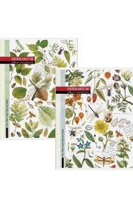 Тетрадь А4 80л клетка "Винтаж. Herbarium" глянцевый УФ-лак