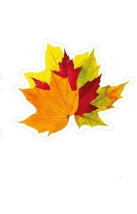 Плакат фигурный-мини Осень. Листья (на скотче)   10-10.04-0003