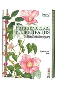 Ботаническая иллюстрация: руководство по рисованию