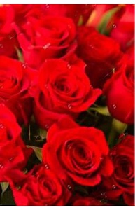 Пакет бумажный 22 х 31 х 10 Красивые красные розы    П018-0021