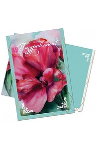 Открытка Средняя Поздравляем, арт. 5410