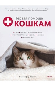 Первая помощь кошкам. Осмотр, действия в экстренных ситуациях, аптечка первой помощи