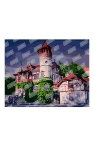 Картина по номерам на картоне 40*50 см "Старая Бавария"