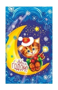 НГ Пакет подарочный  Котенок-волшебник 20*35, ВОРР пр20  ПИ-4552