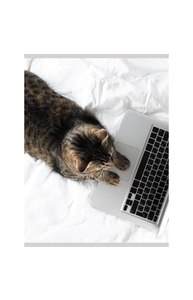 Тетрадь А4 60л клетка "Домашний офис", глянцевая ламинация