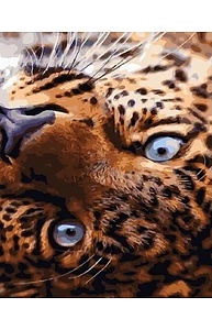 Холст с красками 40х50см Взгляд леопарда OK 10832 / GX 33512