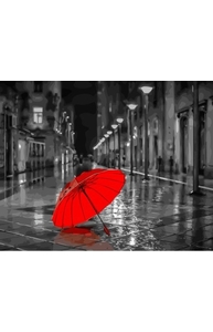 Холст с красками 40х50см Красный зонт