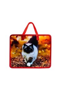 Папка-сумка с ручками А4 "Осенний кот", пластиковая