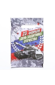 Пакет "День Защитника Отечества", полиэтиленовый с вырубной ручкой, 20х30 см, 30 мкм